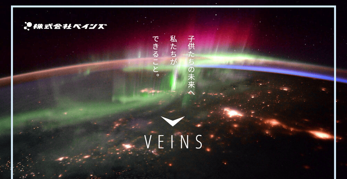 株式会社VEINSの公式サイトスクリーンショット