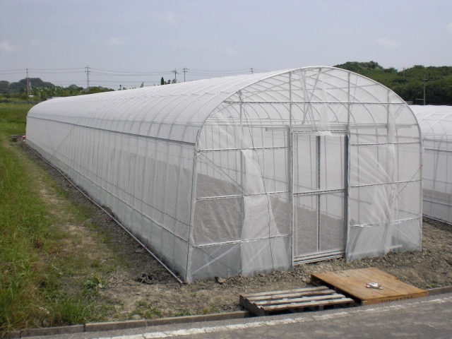 パイプハウスの画像