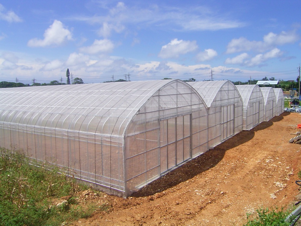 強化型ハウスの画像