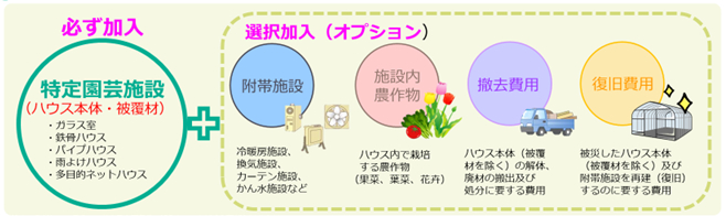 園芸施設共済の対象画像