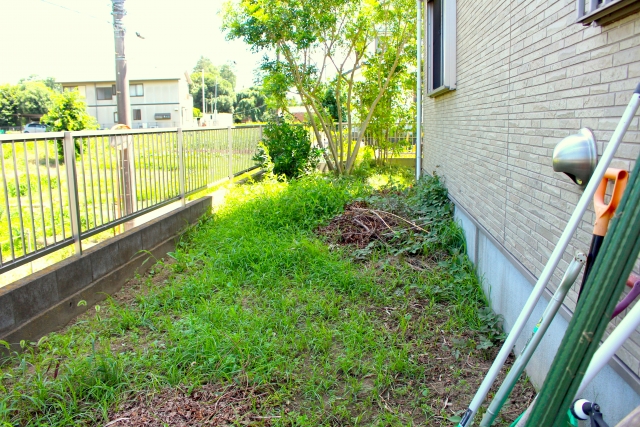 片づけ中の庭の写真