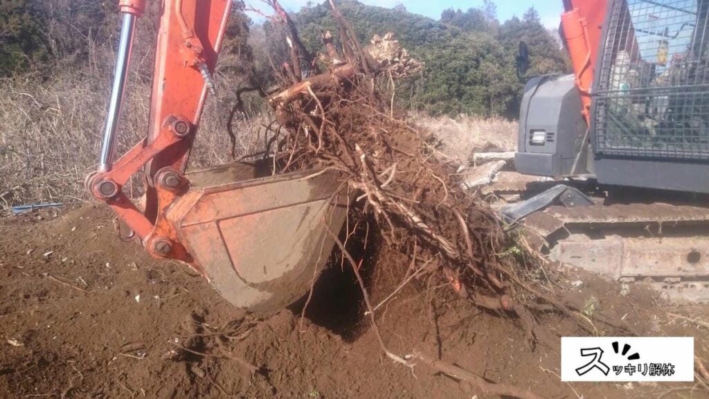 伐根作業の様子