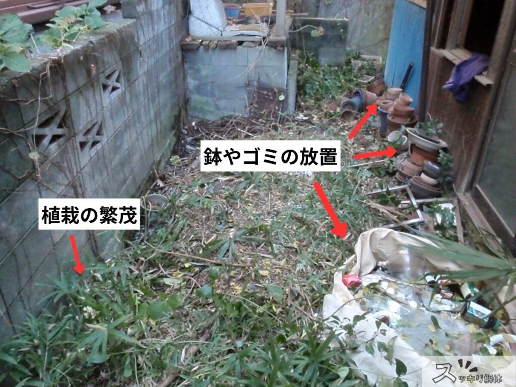 枯れ草やゴミが建物の壁際に堆積した庭の状況