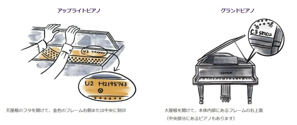 ピアノの品番と製造番号（シリアルナンバー）の確認場所を示すイラスト。アップライトピアノは天屋根の中、グランドピアノは大屋根を開けた内部フレームの右側にあることを解説